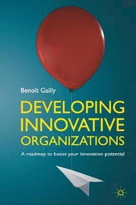 B. Gailly - Developing Innovative Organizations, Häftad