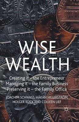 bokomslag Wise Wealth