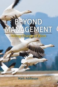 bokomslag Beyond Management