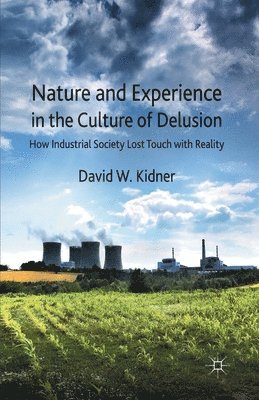 bokomslag Nature and Experience in the Culture of Delusion