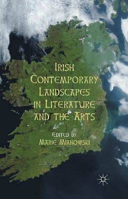 bokomslag Irish Contemporary Landscapes in Literature and the Arts