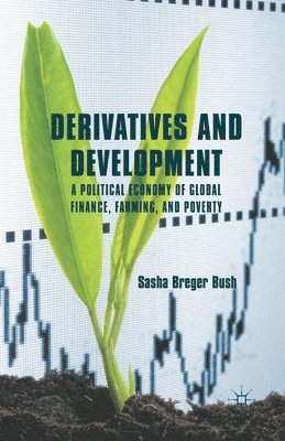 Sasha Breger Bush, Kenneth A. Loparo, Kenneth A Loparo - Derivatives and Development, Häftad