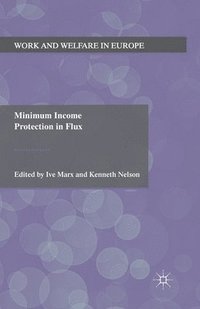 bokomslag Minimum Income Protection in Flux