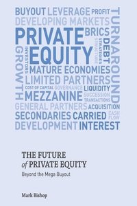 bokomslag The Future of Private Equity