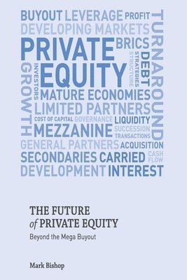 bokomslag The Future of Private Equity