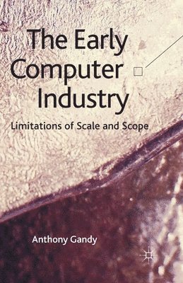 bokomslag Early Computer Industry