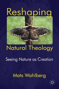 bokomslag Reshaping Natural Theology