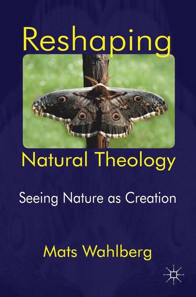 bokomslag Reshaping Natural Theology