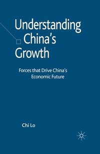 bokomslag Understanding China's Growth