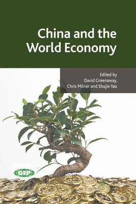 bokomslag China and the World Economy