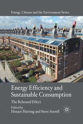 bokomslag Energy Efficiency and Sustainable Consumption