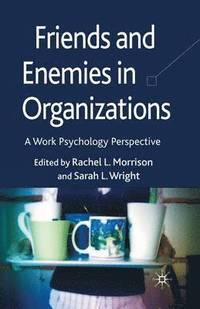 bokomslag Friends and Enemies in Organizations