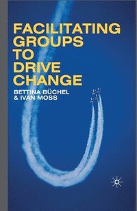 bokomslag Facilitating Groups to Drive Change