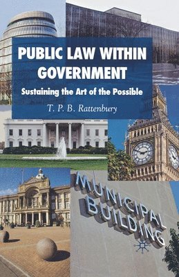 bokomslag Public Law within Government