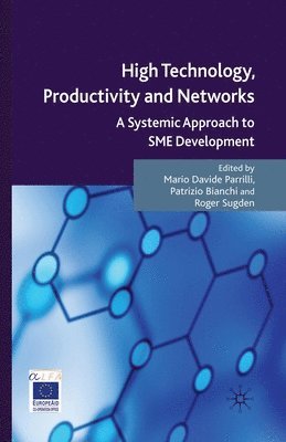 High Technology, Productivity and Networks 1