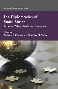 bokomslag The Diplomacies of Small States