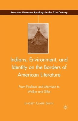 bokomslag Indians, Environment, and Identity on the Borders of American Literature