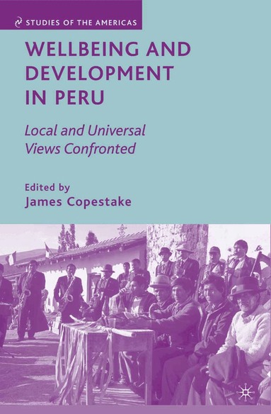 J. Copestake - Wellbeing and Development in Peru, Häftad