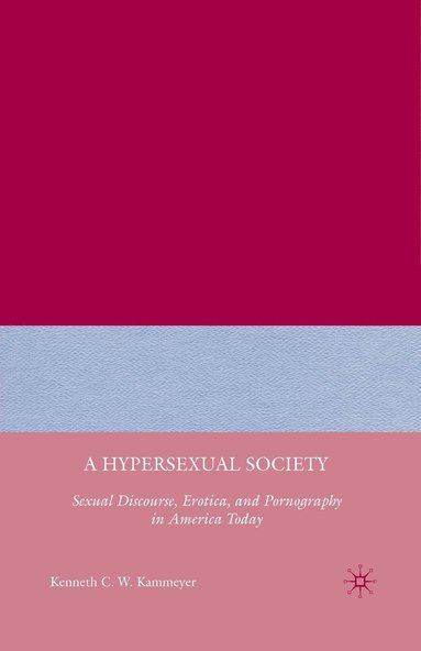 bokomslag A Hypersexual Society