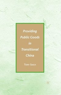 bokomslag Providing Public Goods in Transitional China