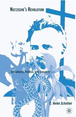 bokomslag Nietzsche's Revolution