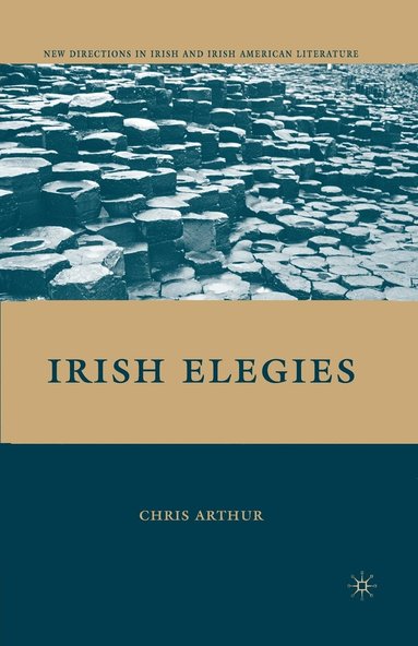 bokomslag Irish Elegies