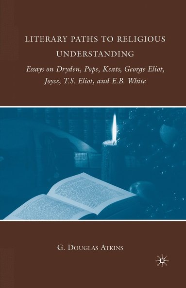 bokomslag Literary Paths to Religious Understanding
