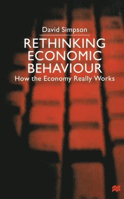 bokomslag Rethinking Economic Behaviour