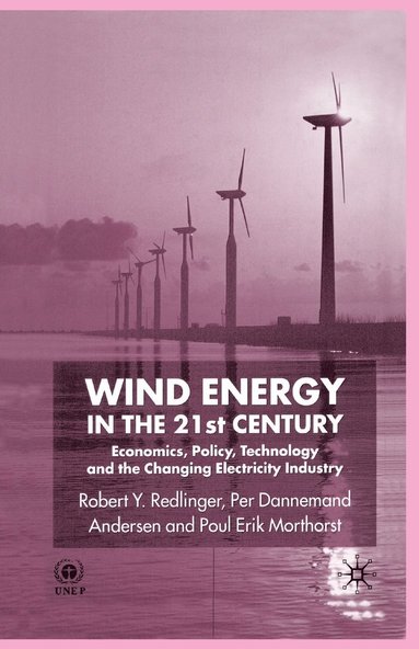 bokomslag Wind Energy in the 21st Century