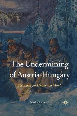 bokomslag The Undermining of Austria-Hungary