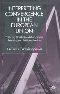 bokomslag Interpreting Convergence in the European Union