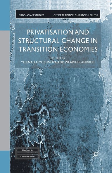 bokomslag Privatisation and Structural Change in Transition Economies