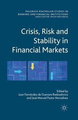 Juan Fernandez de Guevara Radoselovics, Jose Pastor Monsalvez, Kenneth A. Loparo, Juan Fernández de Guevara Radoselovics - Crisis, Risk and Stability in Financial Markets, Häftad