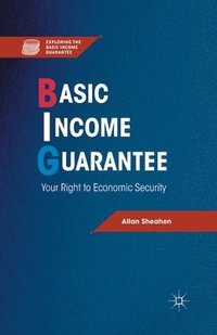 bokomslag Basic Income Guarantee