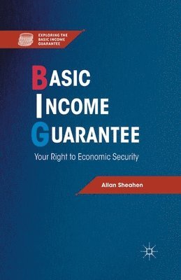 bokomslag Basic Income Guarantee
