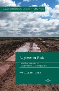 bokomslag Regimes of Risk