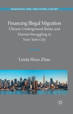 bokomslag Financing Illegal Migration