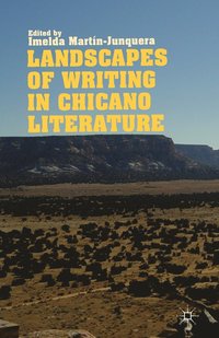 bokomslag Landscapes of Writing in Chicano Literature