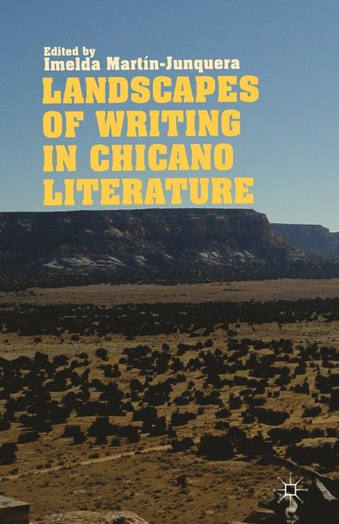 bokomslag Landscapes of Writing in Chicano Literature