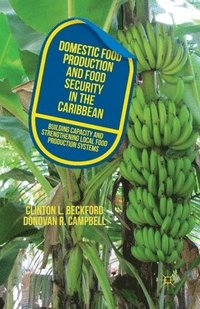 bokomslag Domestic Food Production and Food Security in the Caribbean