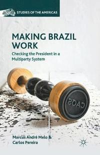 bokomslag Making Brazil Work