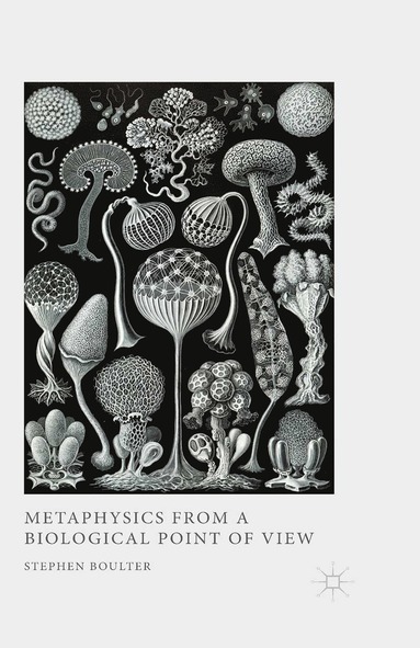 bokomslag Metaphysics from a Biological Point of View