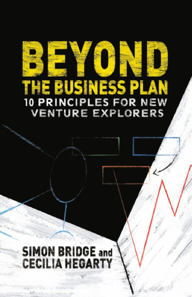 S. Bridge, C. Hegarty - Beyond the Business Plan, Häftad