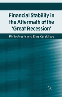bokomslag Financial Stability in the Aftermath of the 'Great Recession'