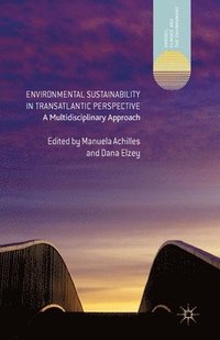 bokomslag Environmental Sustainability in Transatlantic Perspective