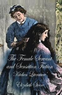 bokomslag The Female Servant and Sensation Fiction