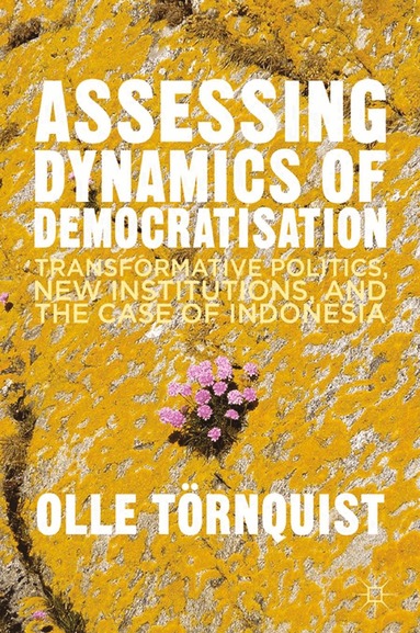 O. Törnquist - Assessing Dynamics of Democratisation, Häftad