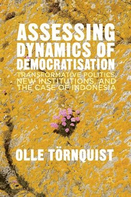 bokomslag Assessing Dynamics of Democratisation
