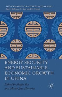 bokomslag Energy Security and Sustainable Economic Growth in China