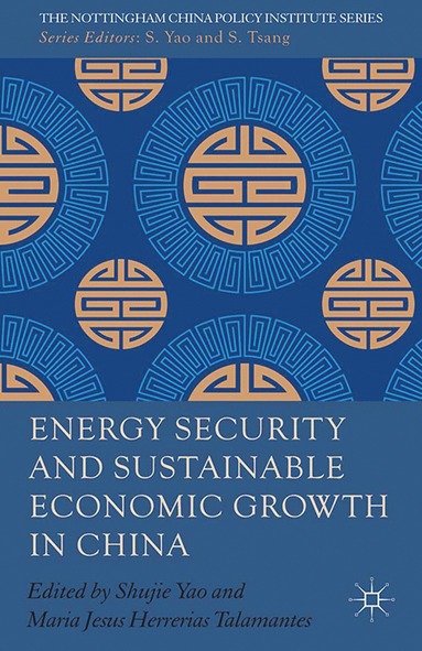 bokomslag Energy Security and Sustainable Economic Growth in China